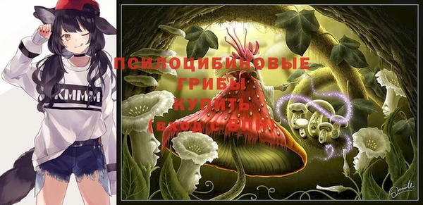 кокс Снежногорск