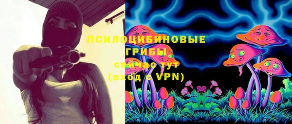 гидра Снежинск